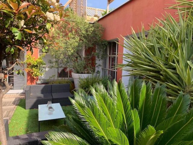 Le Patio Pere Pigne Guestroom Перпинян Екстериор снимка