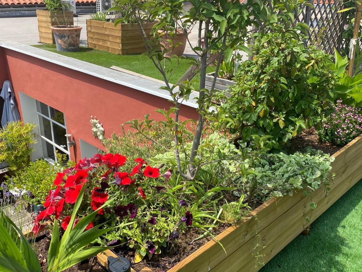 Le Patio Pere Pigne Guestroom Перпинян Екстериор снимка